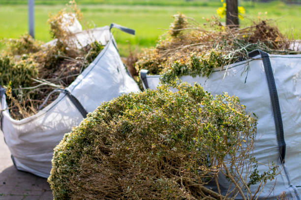 Trusted West Long Branch, NJ Junk Removal Experts